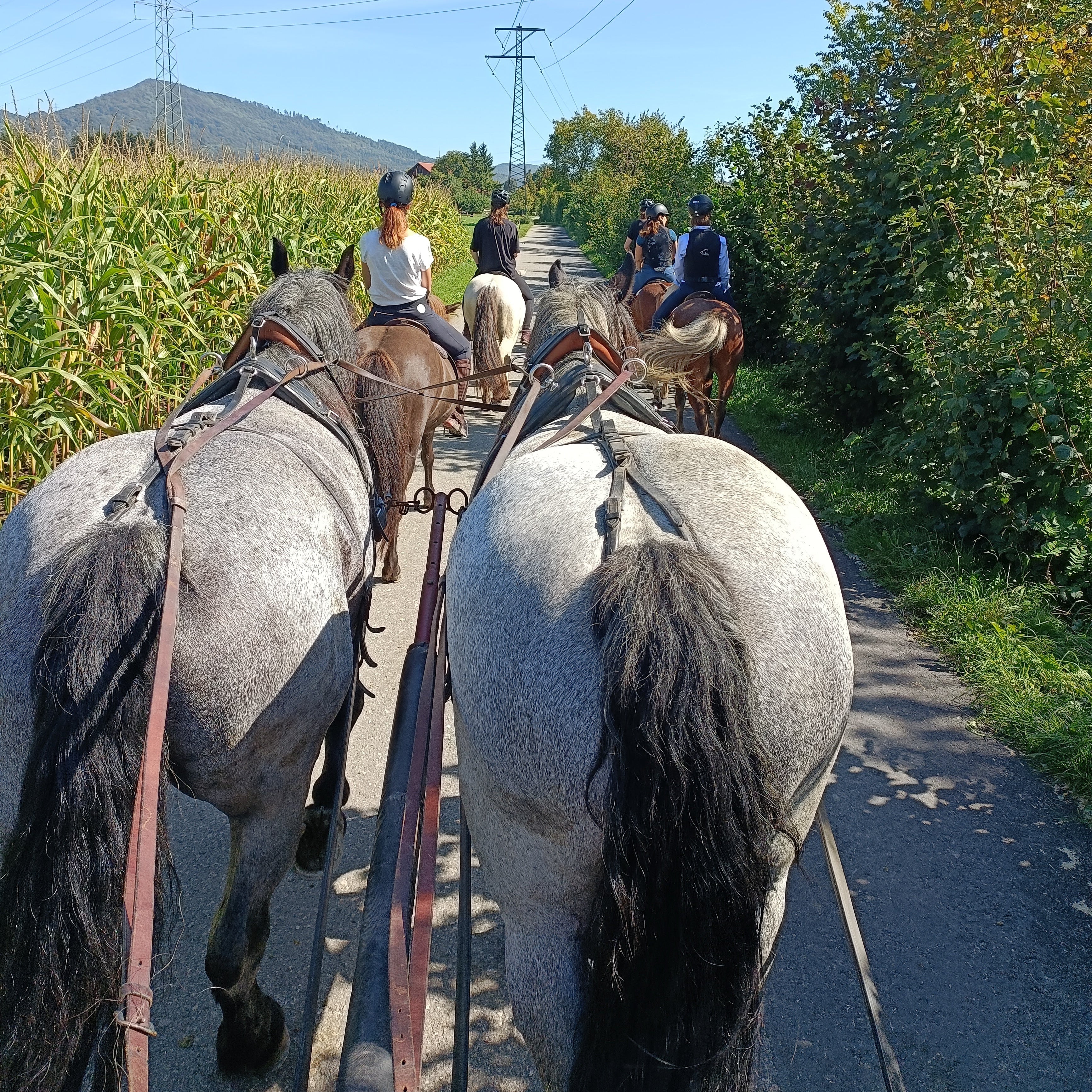 Erlebnis-Reitferien auf dem Talbach-Hof im Stall Kipp in Gretzenbach
